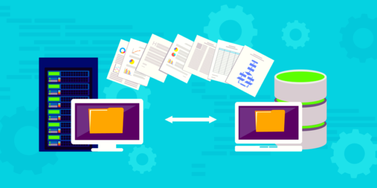 مدیریت پایگاه داده وردپرس با phpMyAdmin